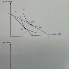 入門経済学に詳しい方に質問です！