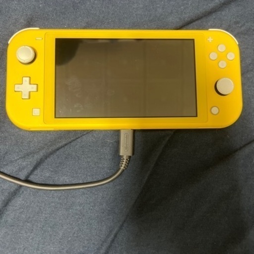 Switchライト 本体