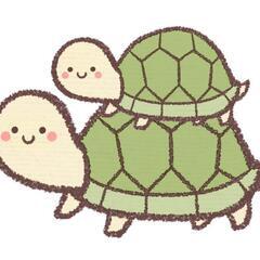 ゆる育児サークル🐢