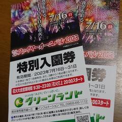 【ネット決済・配送可】グリーンランド入場券２枚組