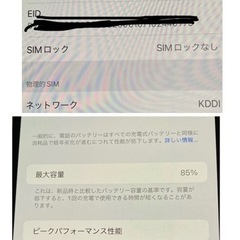 iPhone12 Pro Max  256GB