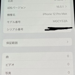 iPhone12 Pro Max  256GB