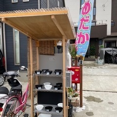 めだか無人販売　6/29の画像