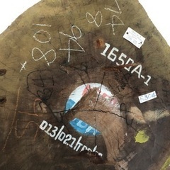 巨木 欅? 切り出し 無垢一枚板 丸太輪切 耳付 天板 英数字 カフェ 看板 カウンター テーブル 古材 アンティーク