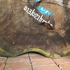 巨木 欅? 切り出し 無垢一枚板 丸太輪切 耳付 天板 英数字 カフェ 看板 カウンター テーブル 古材 アンティーク