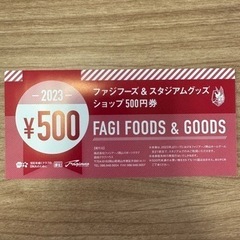 ファジアーノ　500円チケット