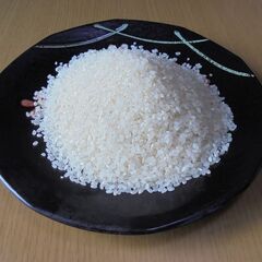おいしいお米　ヒノヒカリ。コシヒカリを改良してできたお米、 令和...