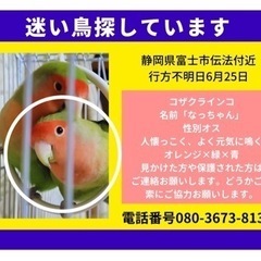 【迷い鳥・コザクラインコ】静岡県富士市伝法