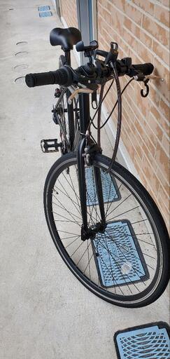 たぬきち 使用歴1ヶ月ほど(値下げ可)