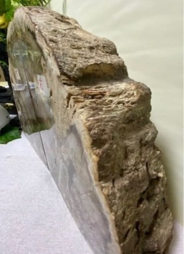 珪化木 木の化石-玉　碧玉 鑑賞石 自然石 原石　珍しい物