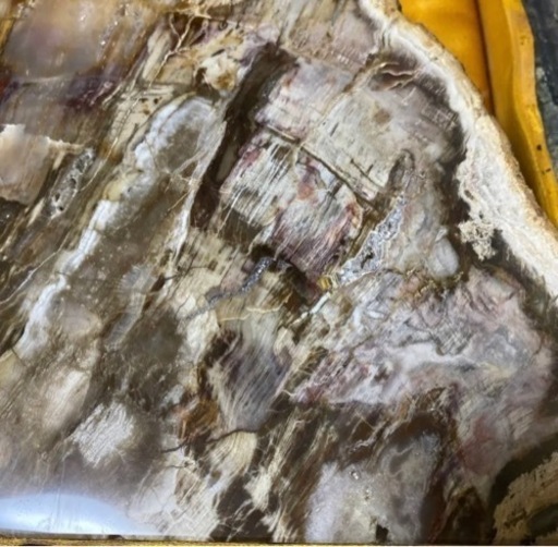 珪化木 木の化石-玉　碧玉 鑑賞石 自然石 原石　珍しい物