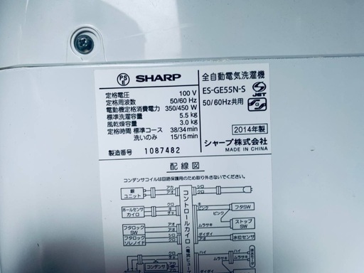 ♦️EJ172番 SHARP 全自動洗濯機  【2014年製】