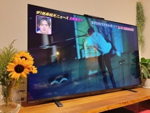 美品　液晶テレビ　55型　REGZA