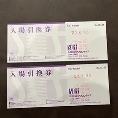 札幌シネマフロンティア　映画券✖️2枚