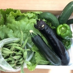 長ナス🍆 無農薬 野菜 家庭菜園 他にもお野菜あります！