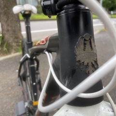 マウンテンバイク/MTB ビアンキ JAB 29.7 身長165-175cm