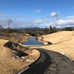 ラウンド募集です⛳️