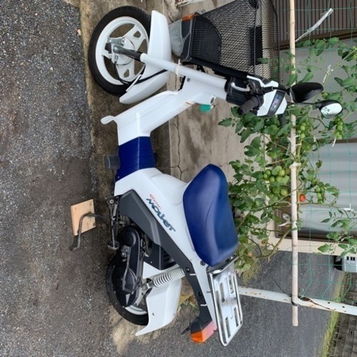 スズキ モレ(MOLLET) 50cc