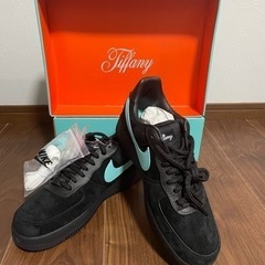 【ネット決済・配送可】新品未使用　NIKE ティファニー　28.0cm