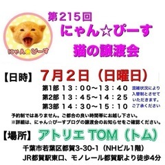 7月2日(日)🌸にゃん☆ぴーす猫の譲渡会🌸「アトリエTOM」JR...