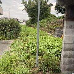 【草刈り】草刈り致します【無料見積り】