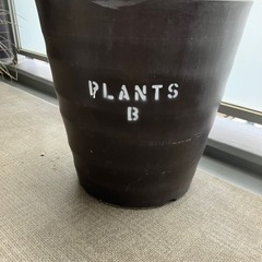 観葉植物用鉢