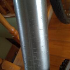 マングース　サブロサ