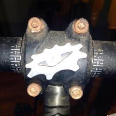 マングース　サブロサ