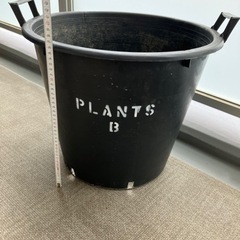 観葉植物用鉢（2個セット）