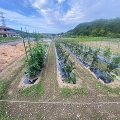 東京都で農園 - 青梅市