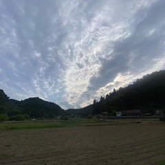 東京都で農園