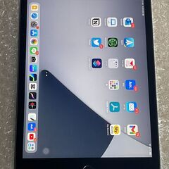 おまけ付き iPad mini 第5世代 64GB Wi-Fi ...