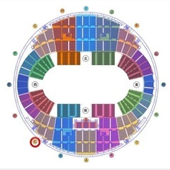 ディズニーオンアイス　名古屋公演　S席正面 ディズニーオンアイス 名古屋公演 S席正面