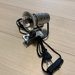 爬虫類ゲーシ9060