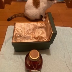 【希少】軽井沢 貯蔵15年100%モルトウイスキー 未開栓 希少】軽井沢 貯蔵15年100%モルトウイスキー 未開栓