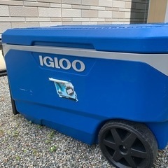 大型クーラーボックス　イグルー　IGLOO