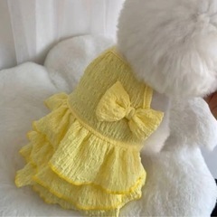 春の犬のドレス   M イエロー