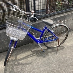 自転車　アルベルト