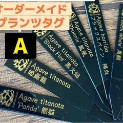 オーダーメイドで作る　プランツタグ　アガベ　チタノタ　パキポデイ...