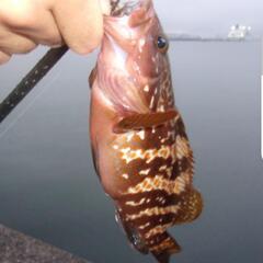 釣り　バーベキュー仲間