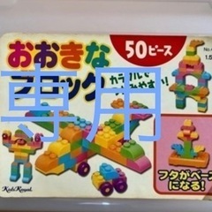 大きなブロック　50ピース　豊橋市