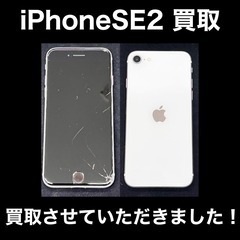 iPhoneSE2　64GB　ホワイト　買取させていただきました！ - 福岡市