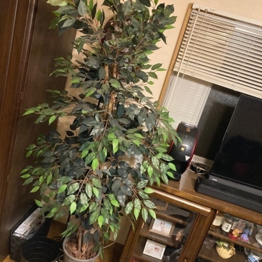 フェイク　観葉植物