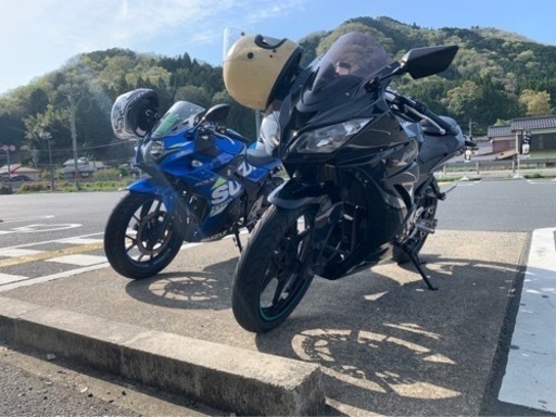 ninja250r 限定価格