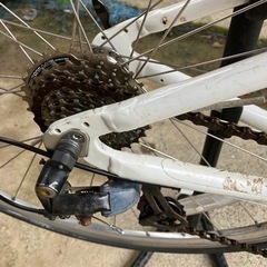 ライトウェイ　クロスバイク　シェファード