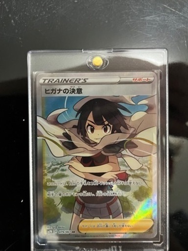 ヒガナの決意sr