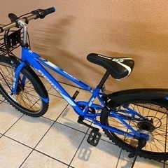 取り引き決定しました　ドライド　ジュニアマウンテンバイク　24インチ　ブルー