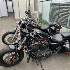 Harley Davidson Limited Touring Team - 名古屋市
