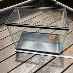 ニッソー製３０cmガラス水槽　01