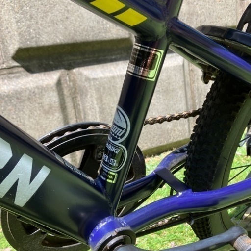 20インチ COGHORN コグホーン 自転車 子供 子ども ジュニア